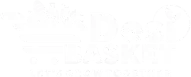 Desi Basket
